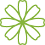 Blossom Icon