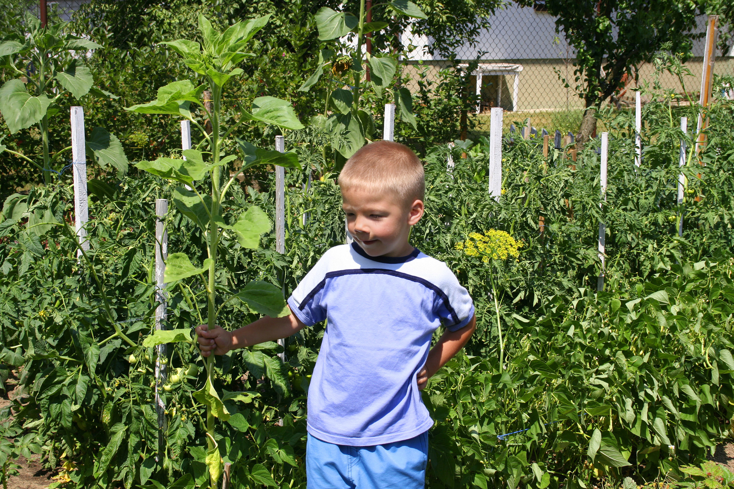 dreamstimefree_985103